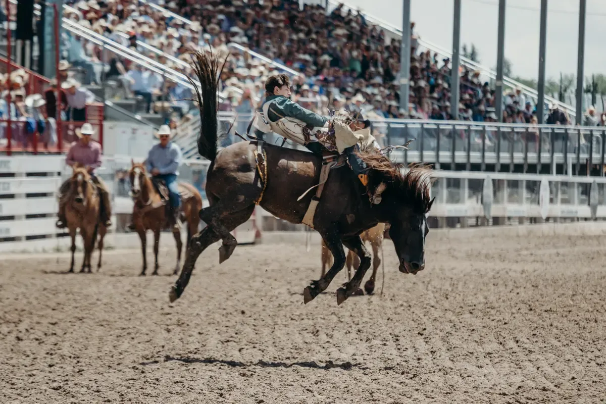 The American Rodeo Qualifier Tournament (Regionals) - Friday, 17 April | Event in Oklahoma City | AllEvents
