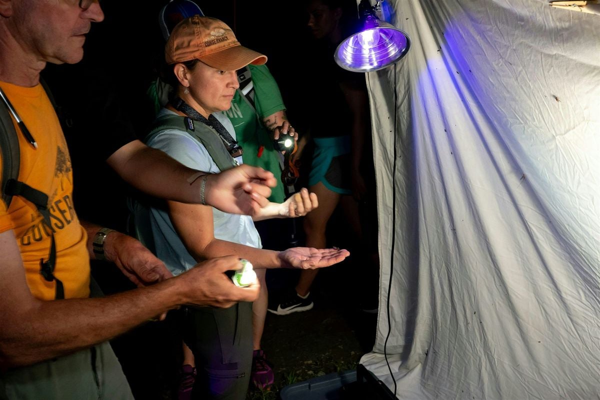 Moth Lighting at Graham Nature Preserve, 8 August | Event in York | AllEvents