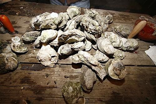 Oyster Roast at Polliwogs