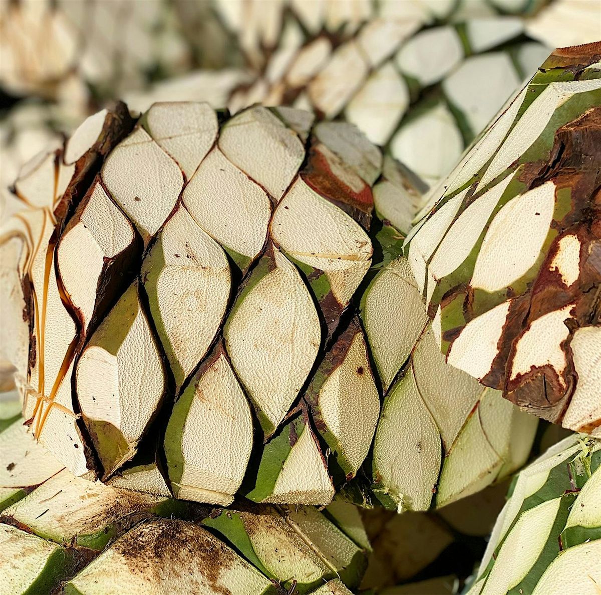Apotheke Academy - SPIRITS OF MEXICO, 14 June | Event in New York | AllEvents