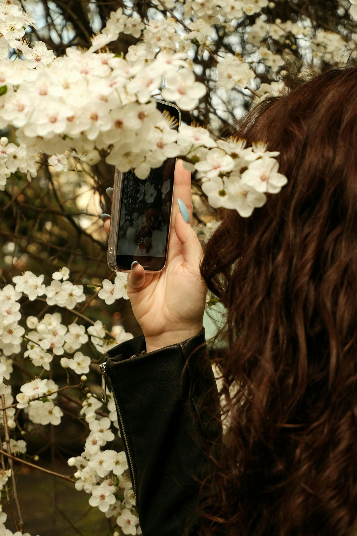 Spring Photo Walk in Washington Square Park, 30 May | Event in New York | AllEvents