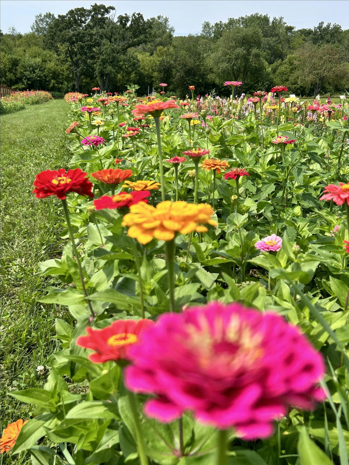 Blossom Ridge Vases and Bouquet Class, 23 July | Event in Harvard | AllEvents