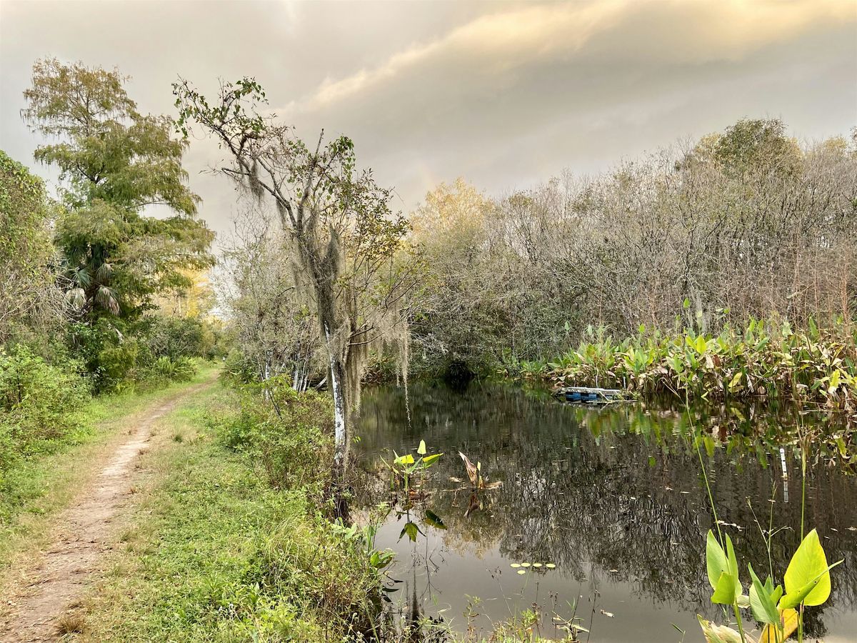 Morning Coffee, Roll & Stroll at the CREW Bird Rookery Swamp, 24 April | Event in Naples | AllEvents