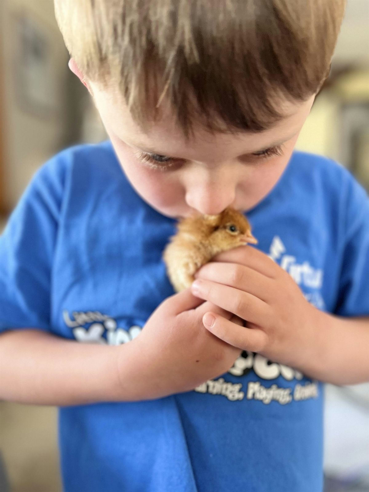 Hatch a Chick Program, 14 March | Event in Evesham Township | AllEvents
