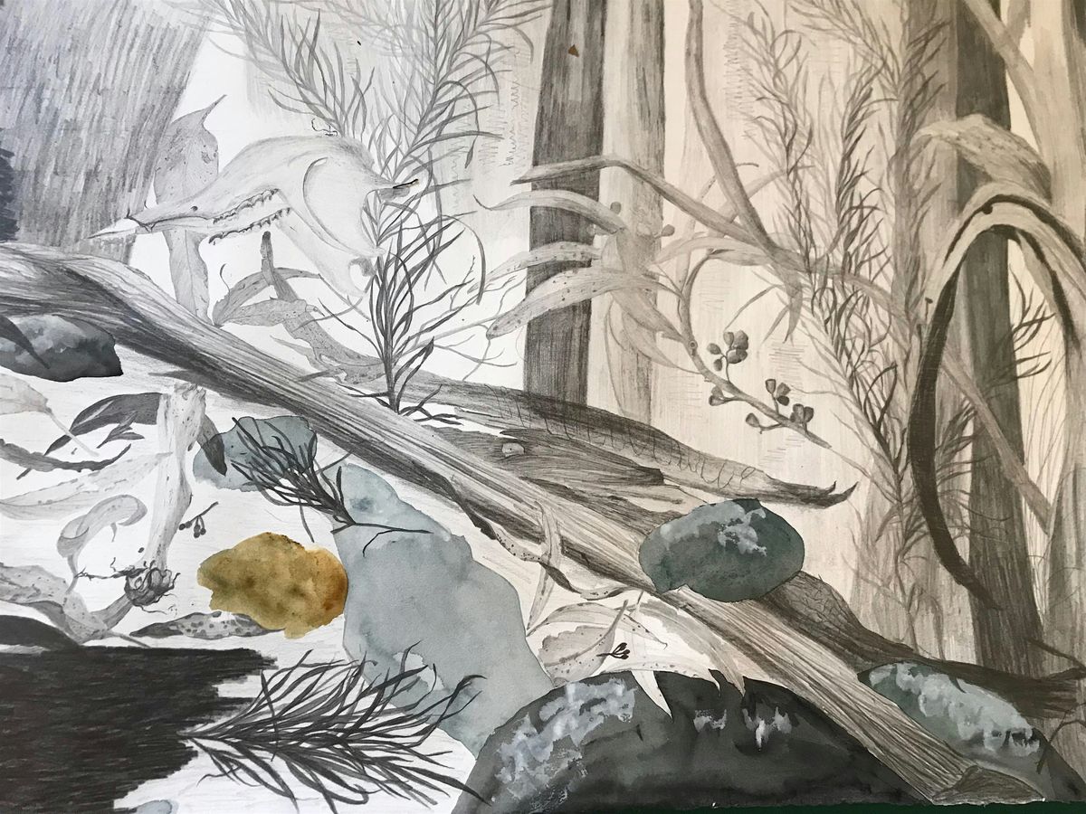 WORKSHOP: Australian Plantscapes & Responsive Drawing, 5 July | Event in Windsor | AllEvents