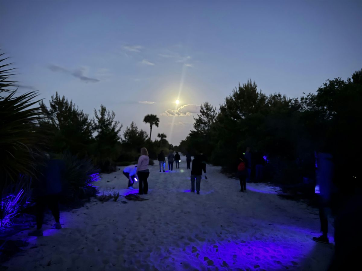 Nature After Dark: A Guided Night Hike | Event in Stuart | AllEvents
