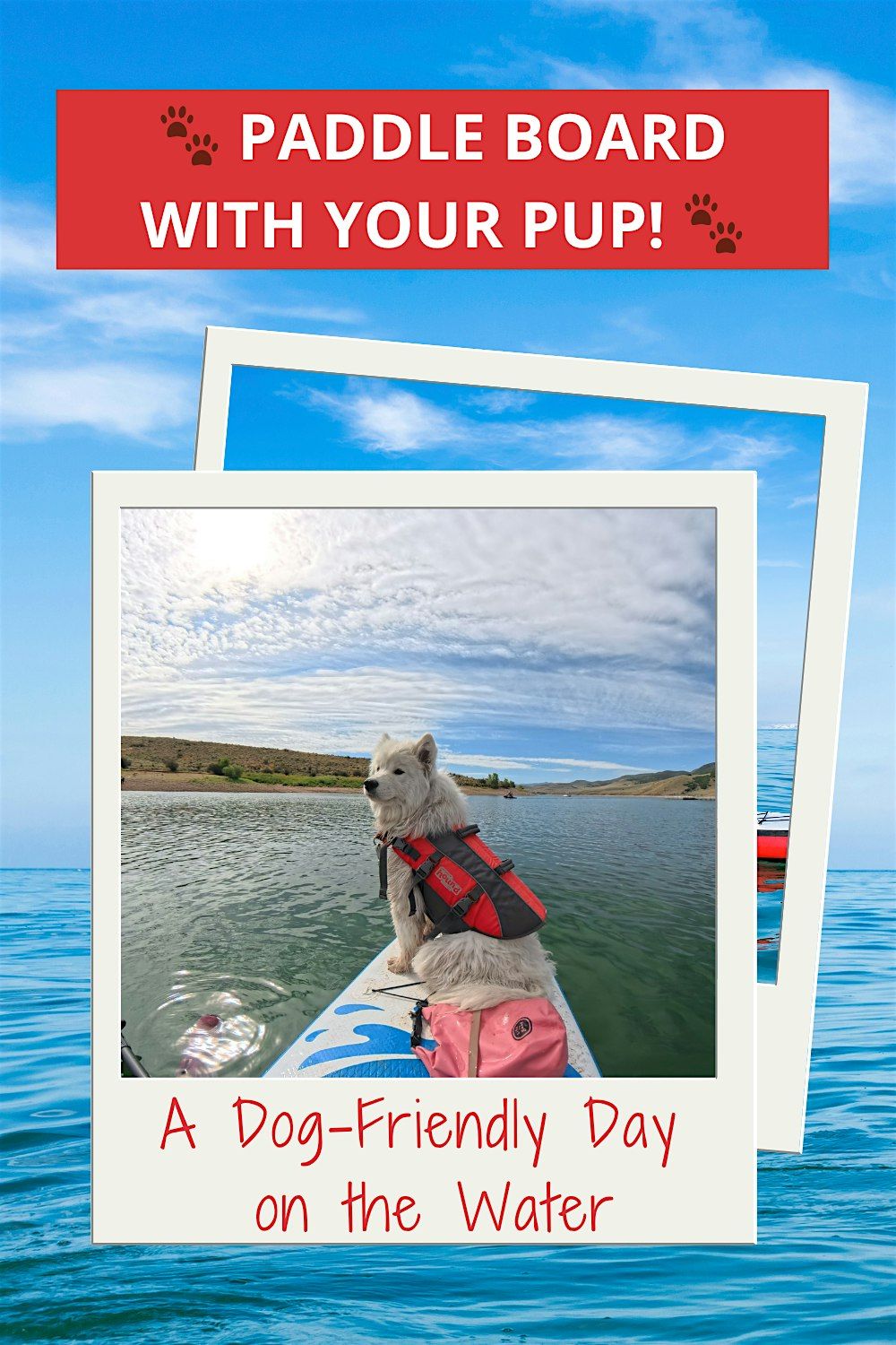Paddle Board with Your Pup!, 17 August | Event in Morgan | AllEvents