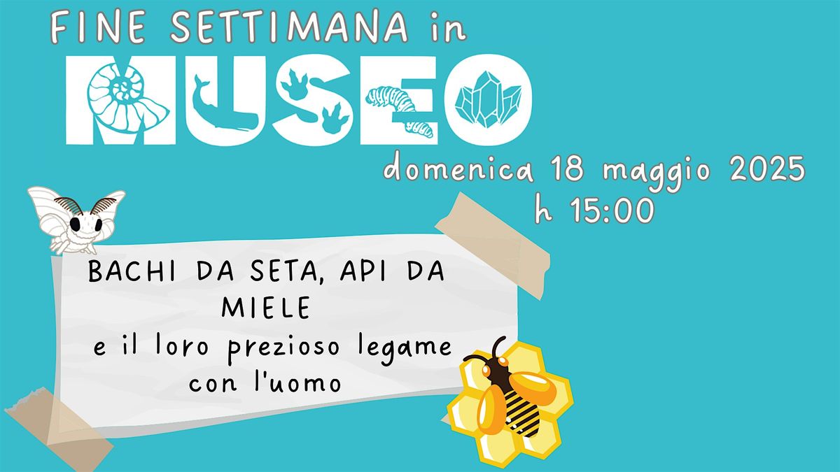 Bachi da seta, api da miele e il loro prezioso legame con l'uomo, 18 May | Event in Bergamo | AllEvents