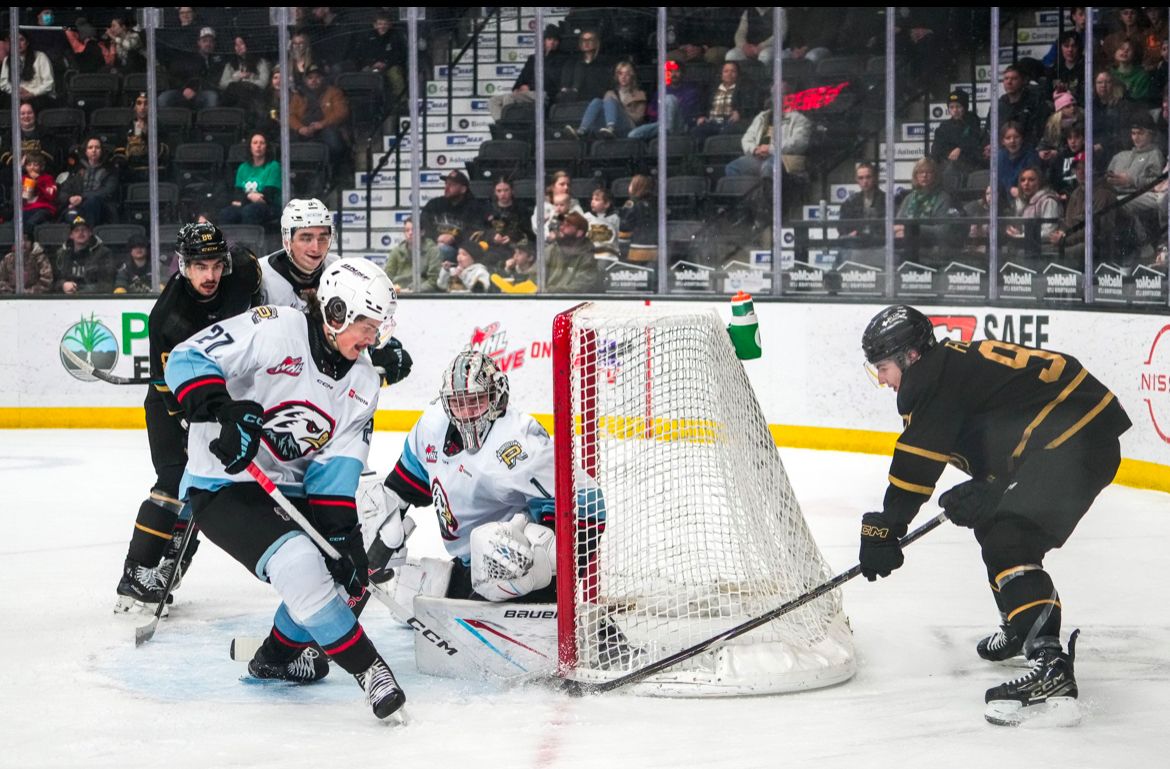 Brandon Wheat Kings at Portland Winterhawks, 25 January | Event in Portland | AllEvents