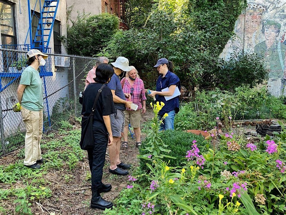 La Plaza Cultural Community Garden Volunteer Days | Event in New York | AllEvents