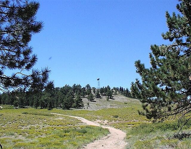 Bird Walk at Mt. Pinos, 18 October | Event in Frazier Park | AllEvents