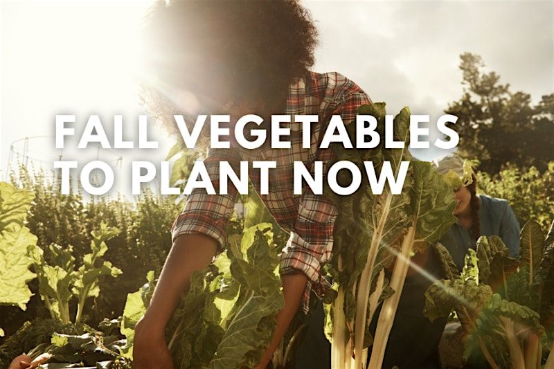 Fall Vegetables to Plant Now, 6 September | Event in Gainesville | AllEvents