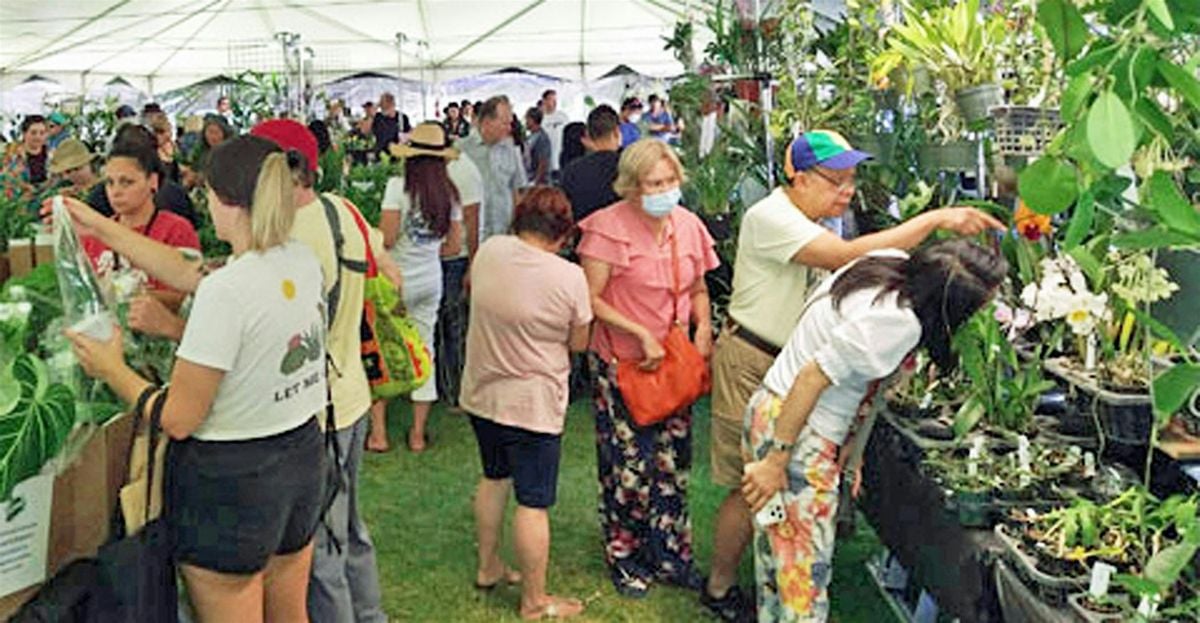 Fascination of Orchids and Exotic Plants, 26 September | Event in Santa Ana | AllEvents
