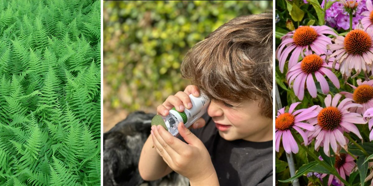 Mini Microscope Monday (Ages 3+), 23 June | Event in Devon | AllEvents