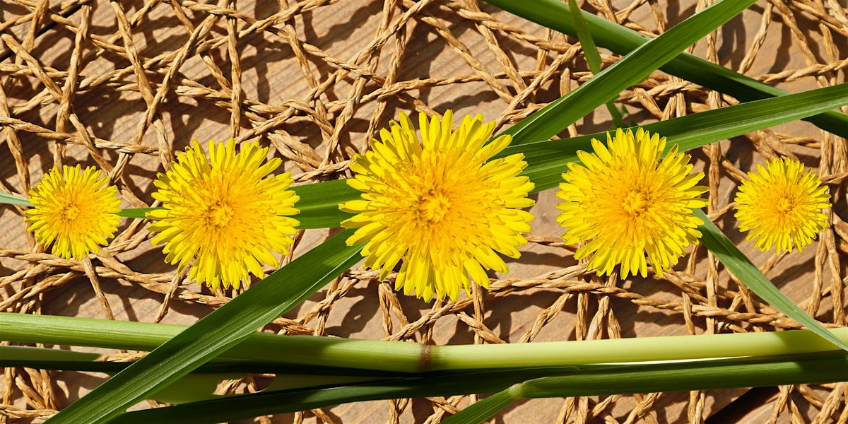 Nature Weaving, 20 September | Event in Ansonia | AllEvents