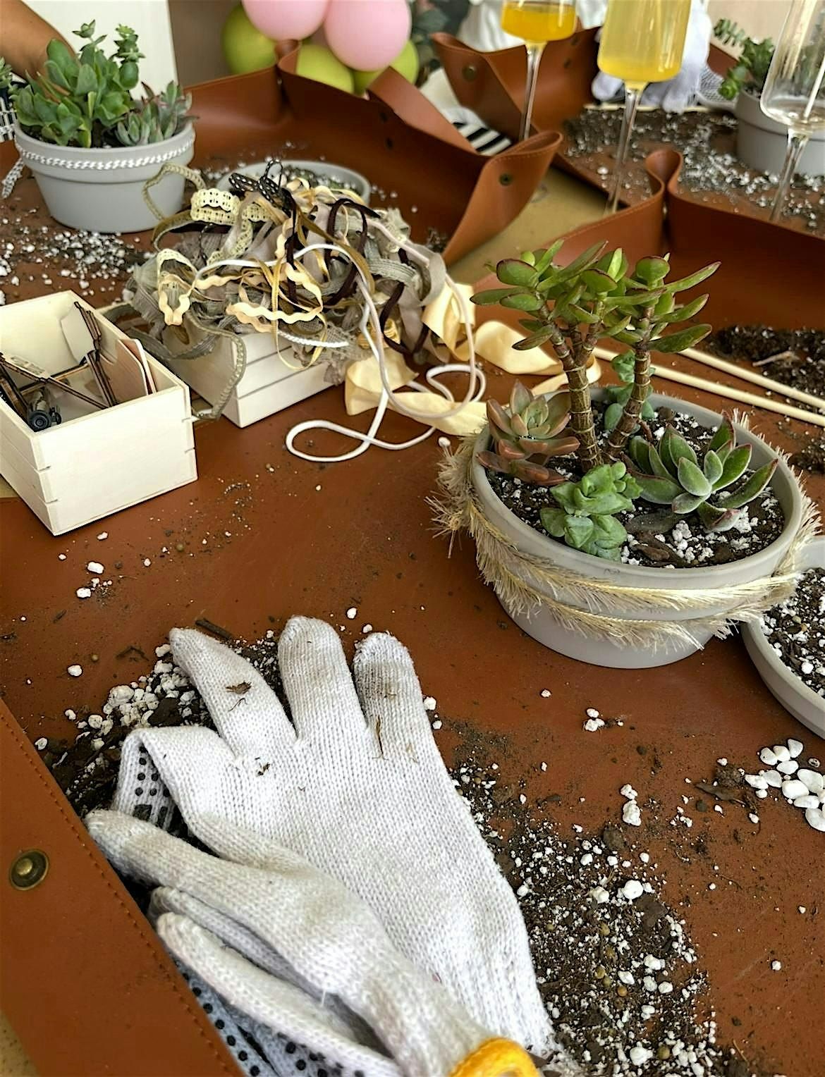 Plants & Finds, 6 September | Event in Palm Springs | AllEvents