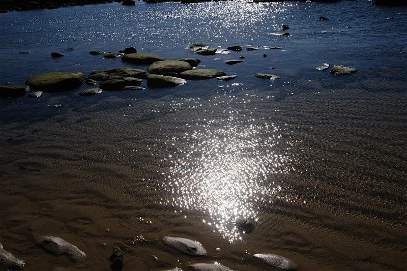 Aboriginal People of Coastal Sydney Presentation with Michael Ingrey, 29 November | Event in Double Bay | AllEvents
