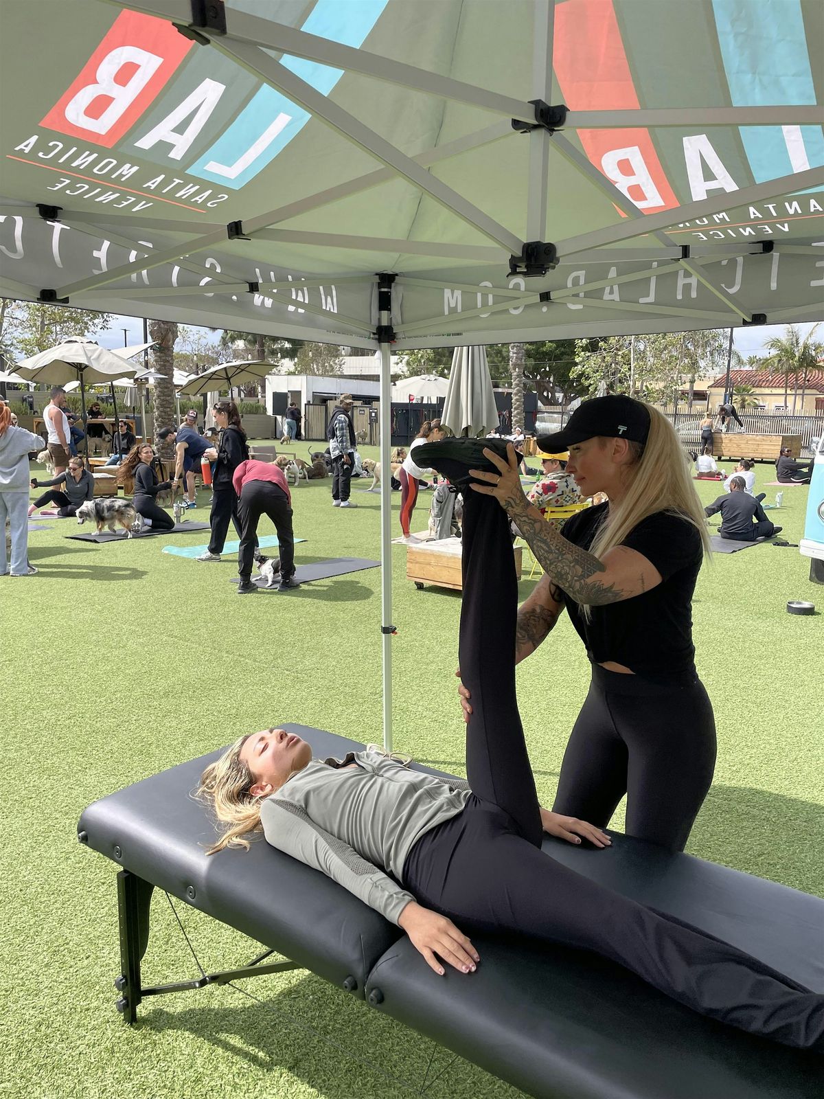 StretchLab at DOG PPL: Canine Fitness Club, 24 August | Event in Santa Monica | AllEvents