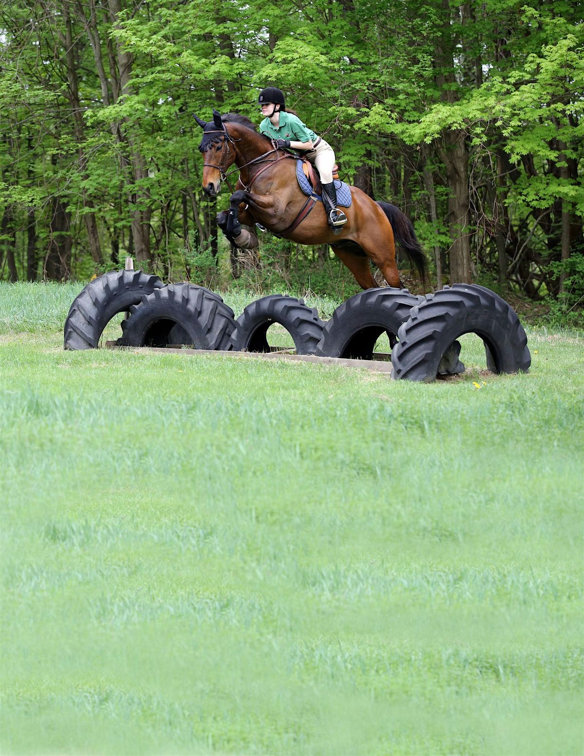 2025 Locust Hill Fall Hunter Pace, 2 November | Event in Hyde Park | AllEvents