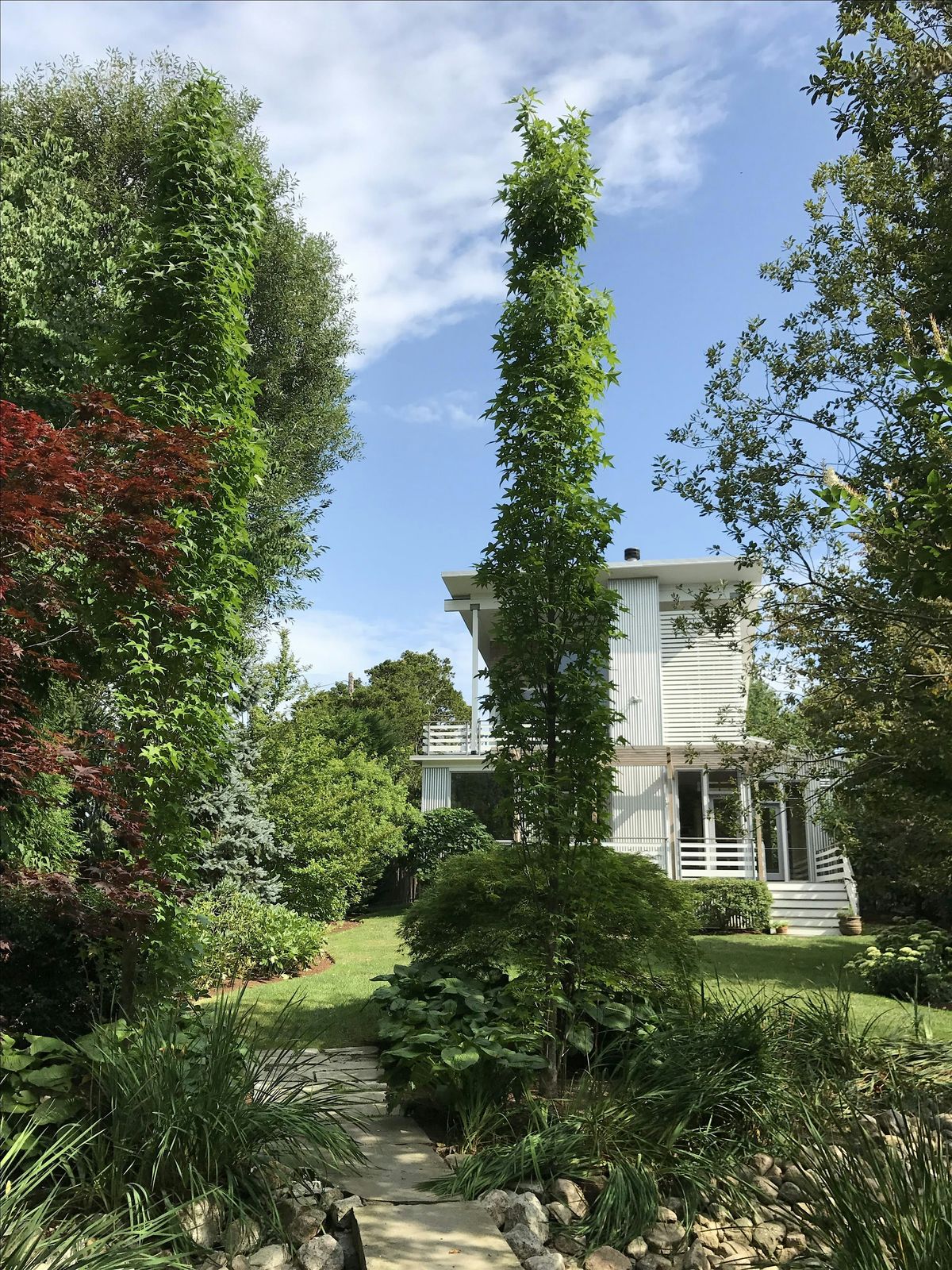 Arboretum Tour: Maher-a-lago, 11 June | Event in Newport | AllEvents
