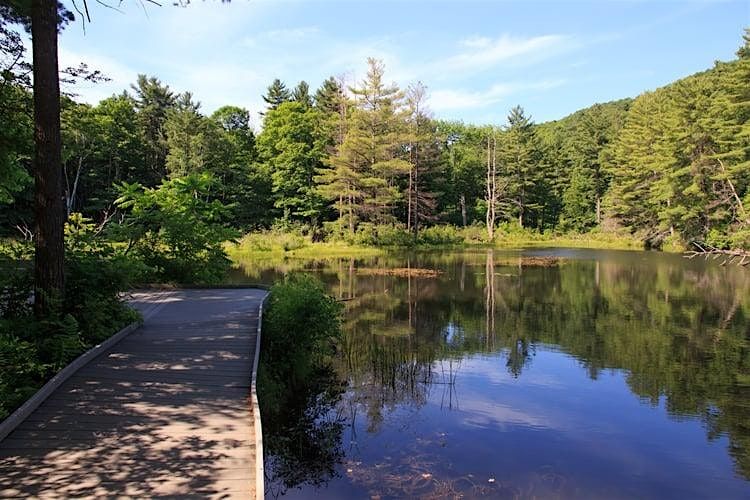 3rd Annual LGBTQ Pride Hike: Pleasant Valley Wildlife Refuge (Lenox, MA), 28 June | Event in Lenox | AllEvents