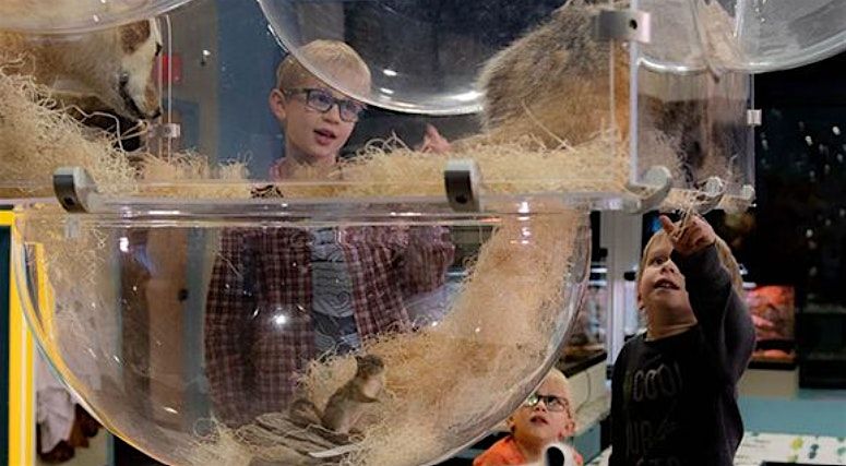 Burpee Museum's 2025  Summer Day Camp: Paleontology, July 28th - August 1st, 28 July | Event in Rockford | AllEvents