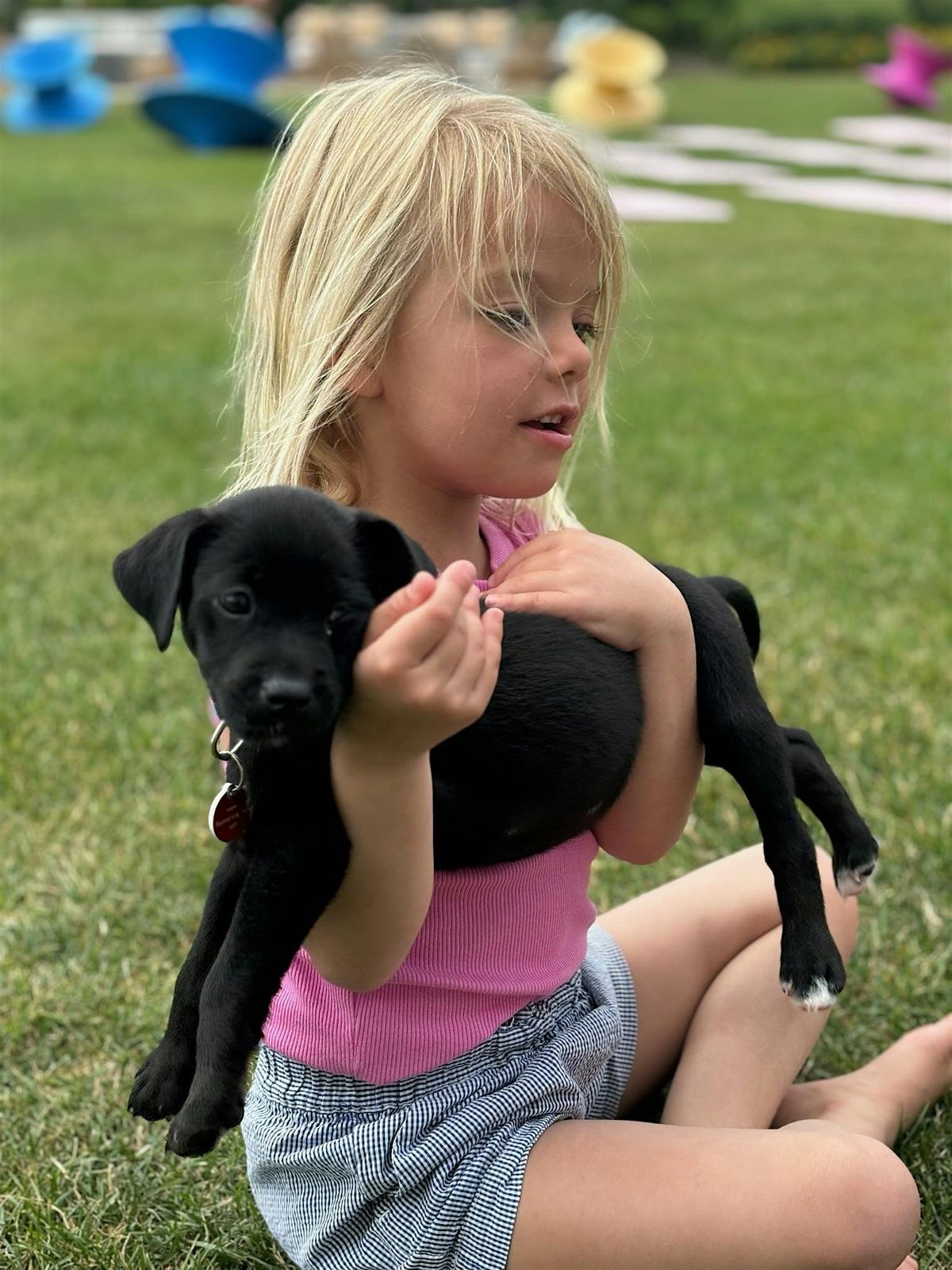 Wags & Walks Puppy Yoga at Sole East | Event in Montauk | AllEvents