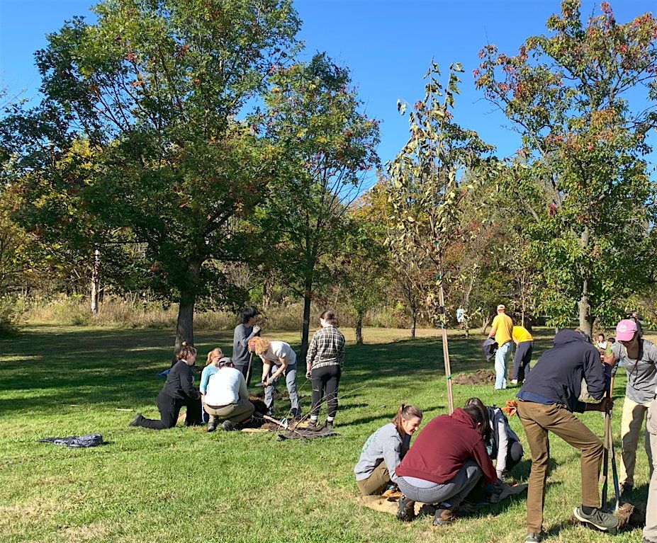 BeeHaven Tree Planting, 8 October | Event in Burnham | AllEvents