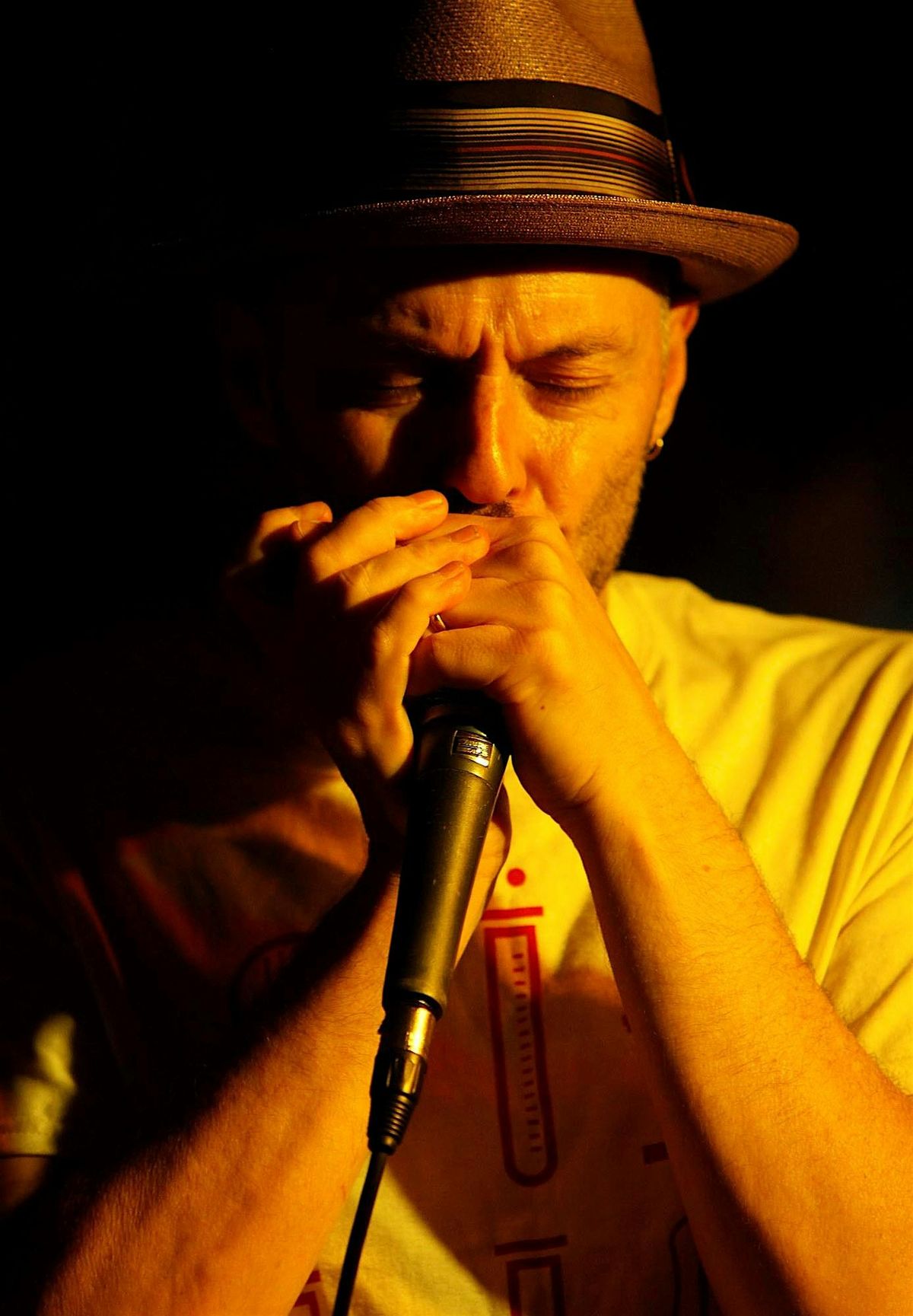 Workshop - Introduction to Blues Harmonica, 16 October | Event in Gosport | AllEvents