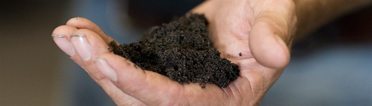 8-11-2025  Gardening in Florida Soil, 11 August | Event in New Port Richey | AllEvents