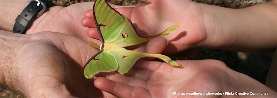 Night Magic:  Moon Gardens, Night creatures, and Preserving the Dark Sky, 1 June | Event in Boone | AllEvents