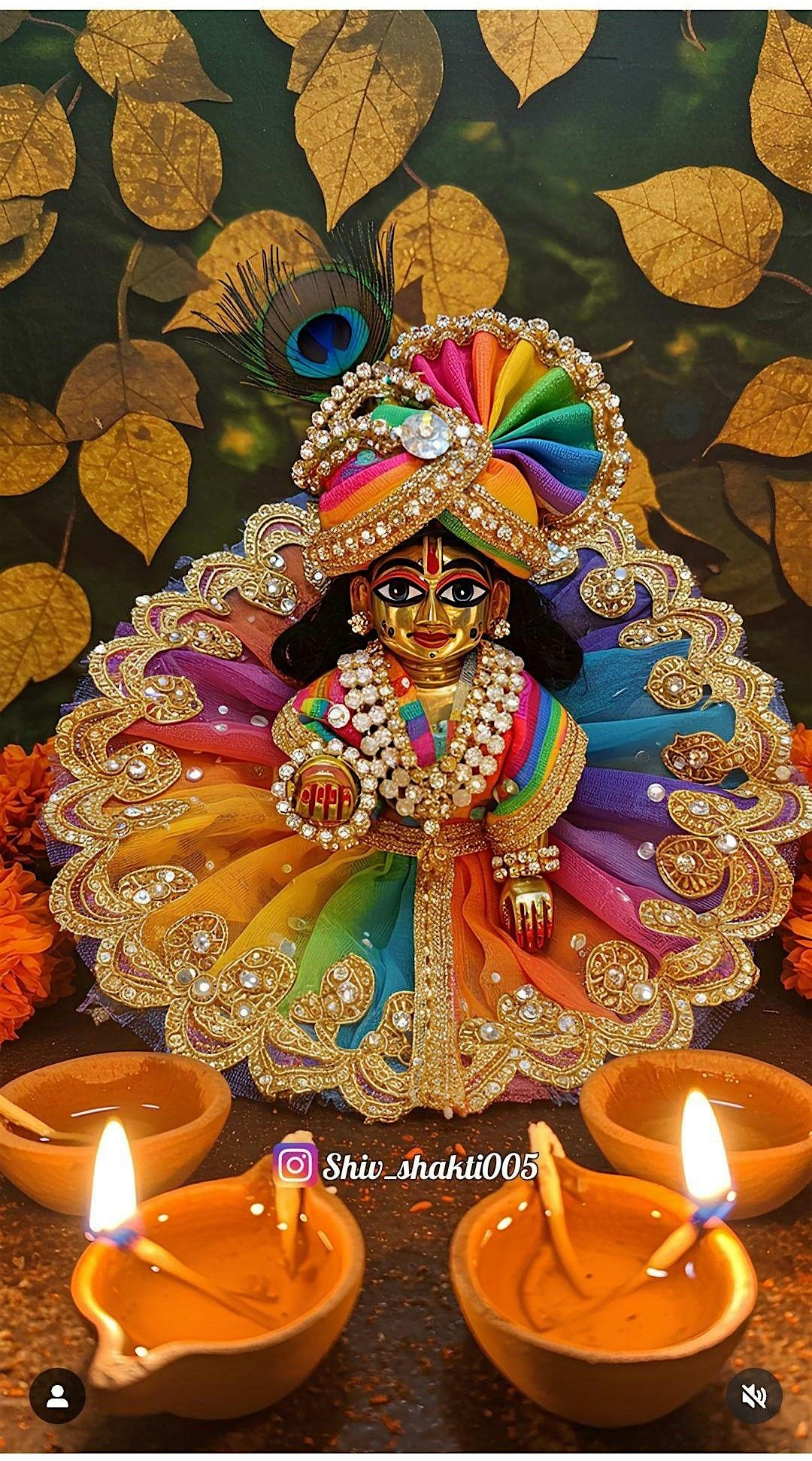 Janmashtami Laddu Gopal Abhishekam, 16 August | Event in Edison | AllEvents