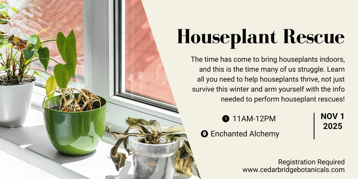 Houseplant Rescue, 1 November | Event in Washington | AllEvents