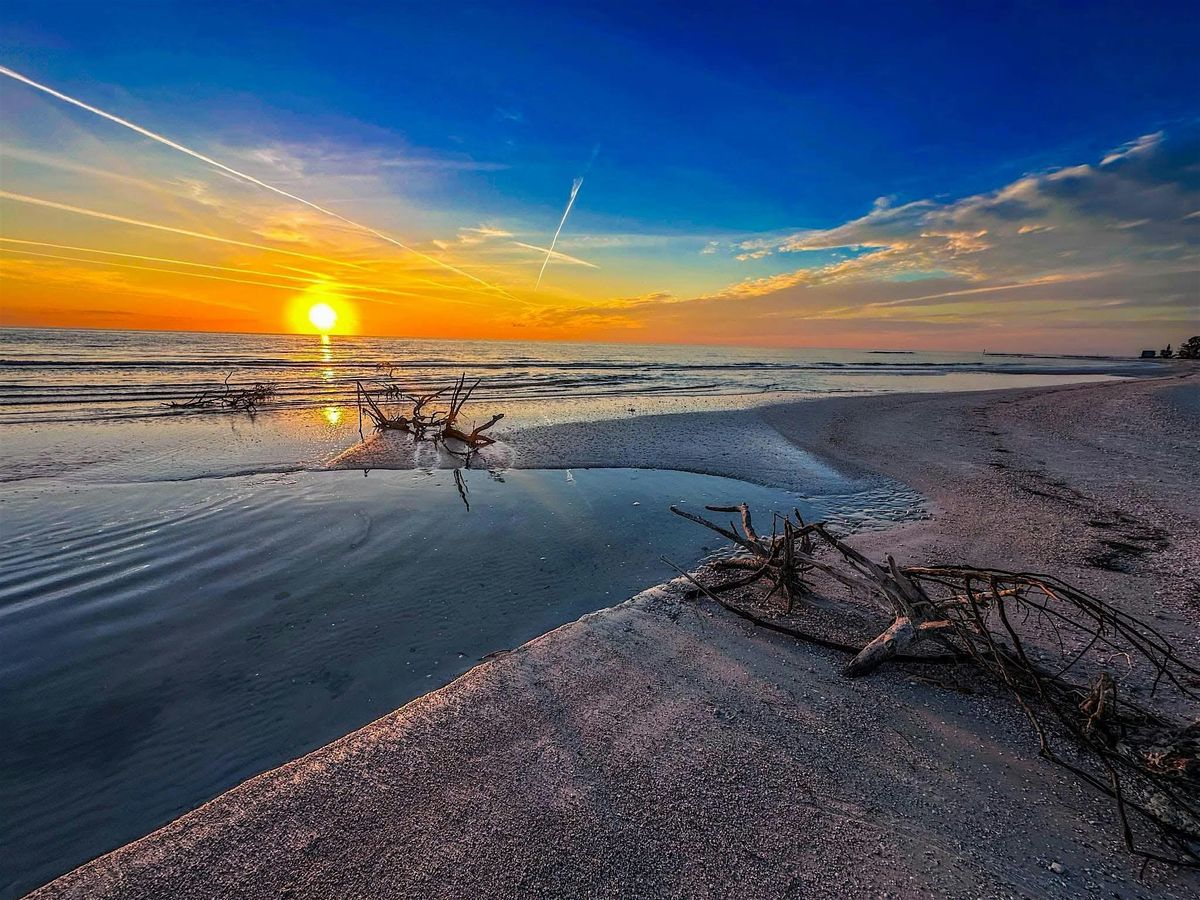 Beach Day Bash @ Honeymoon Island, 20 September | Event in Dunedin | AllEvents