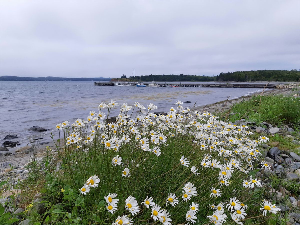 Discover McNabs Island:  Shoreline Tour -  August 10, 2025, 9:30 AM, 10 August | Event in Shearwater | AllEvents