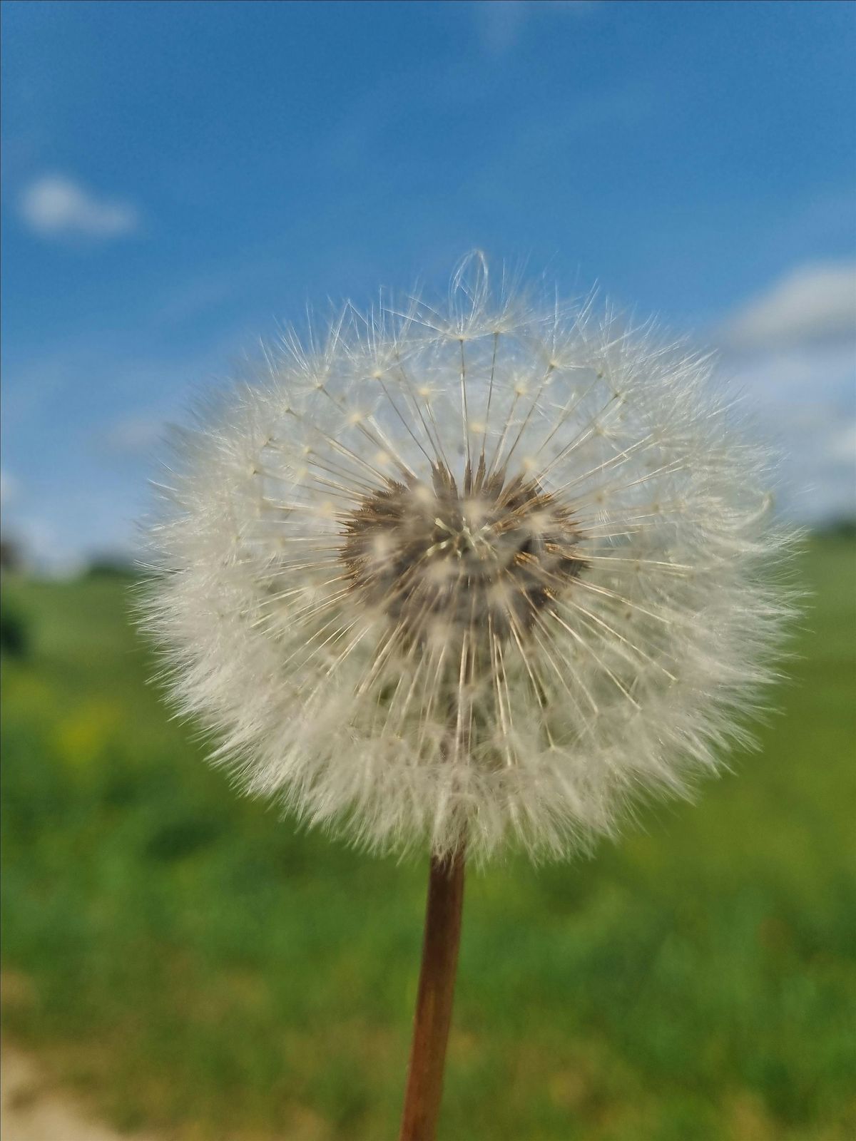 Systemic Family & Business Constellations Workshop, 25 October | Event in Newtown | AllEvents