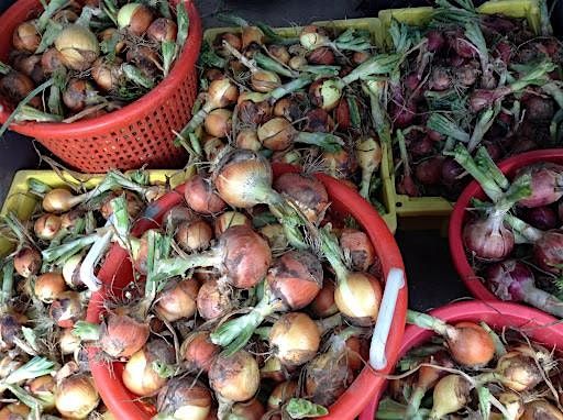 Urban Root Cellaring, 14 October | Event in Pittsburgh | AllEvents