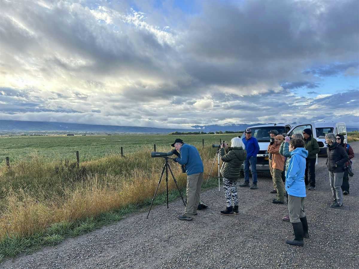 Morning Sandhill Crane Tours, 17 September | Event in Driggs | AllEvents
