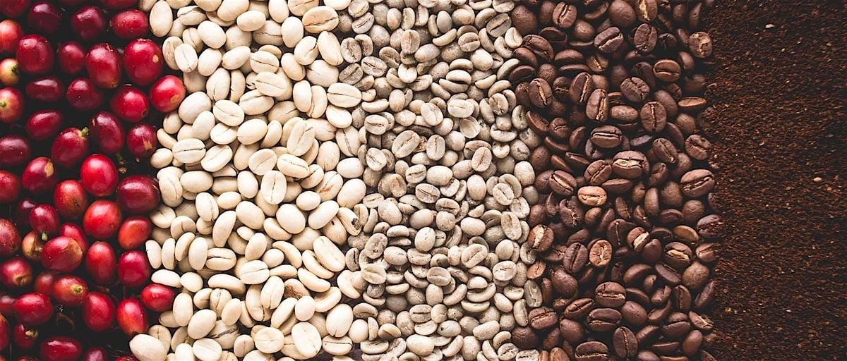 Roaster's Village and Panel Discussion, 21 September | Event in Raleigh | AllEvents