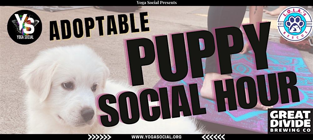 Adoptable Puppy Social Hour at Great Divide Bar, 14 June | Event in Denver | AllEvents
