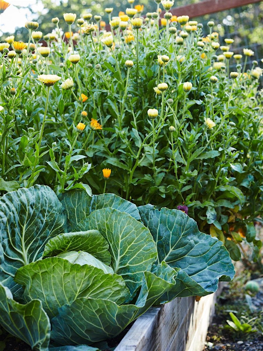 The Fall and Winter Garden, 6 September | Event in Lafayette | AllEvents