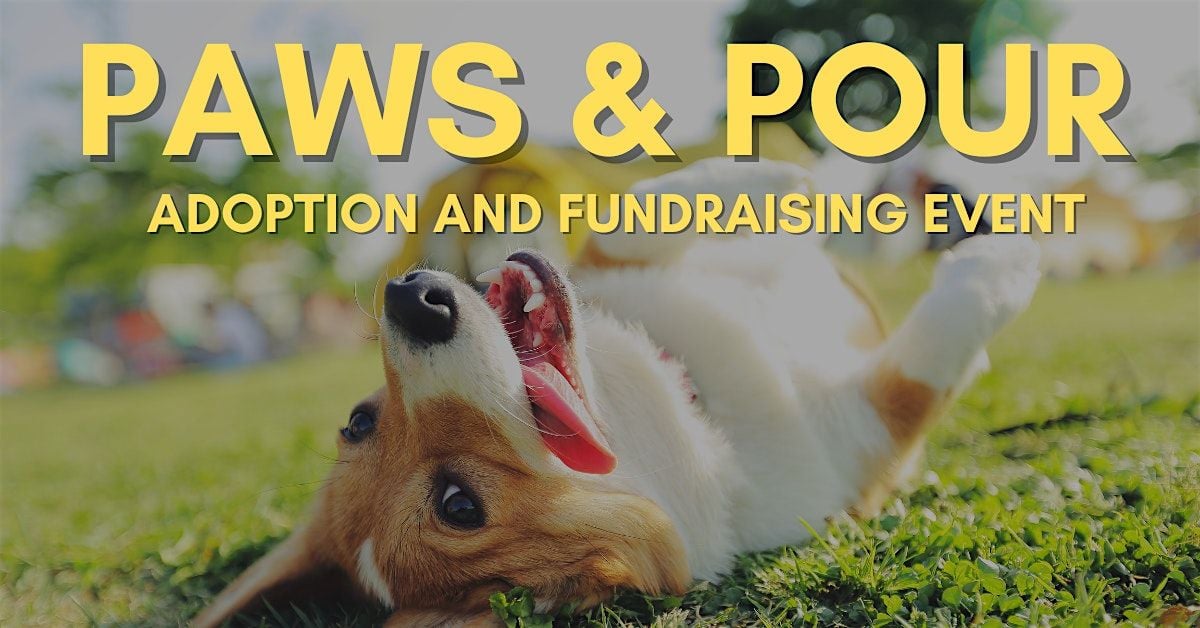 Paws & Pour: Adoption and Fundraising Event, 4 September | Event in Park Ridge | AllEvents