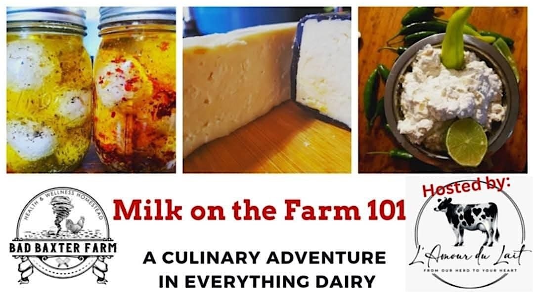 Milk  on the Farm 101 - A Culinary Adventure in all Things Cheesy, 11 October | Event in Noble | AllEvents