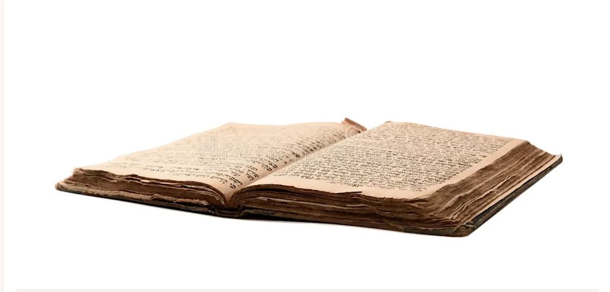 Tea & Torah:  Weekly Parasha Study, 7 October | Event in Ottawa | AllEvents