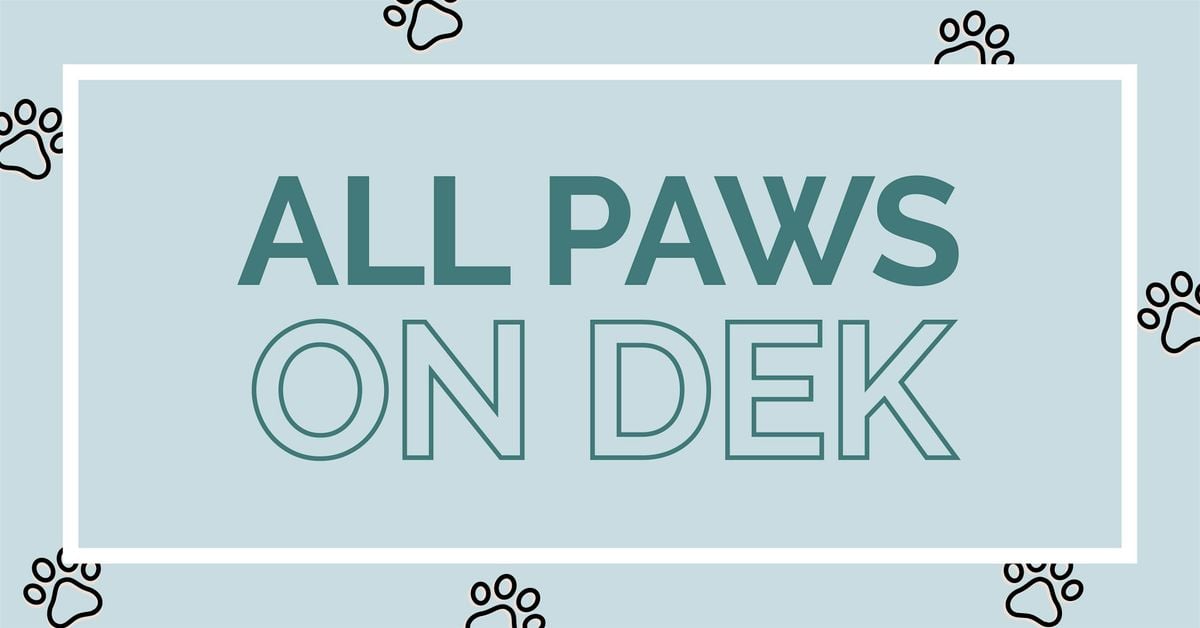 All Paws on Dek: A Pet Fostering Party on the Jdek, 27 August | Event in Grand Rapids | AllEvents