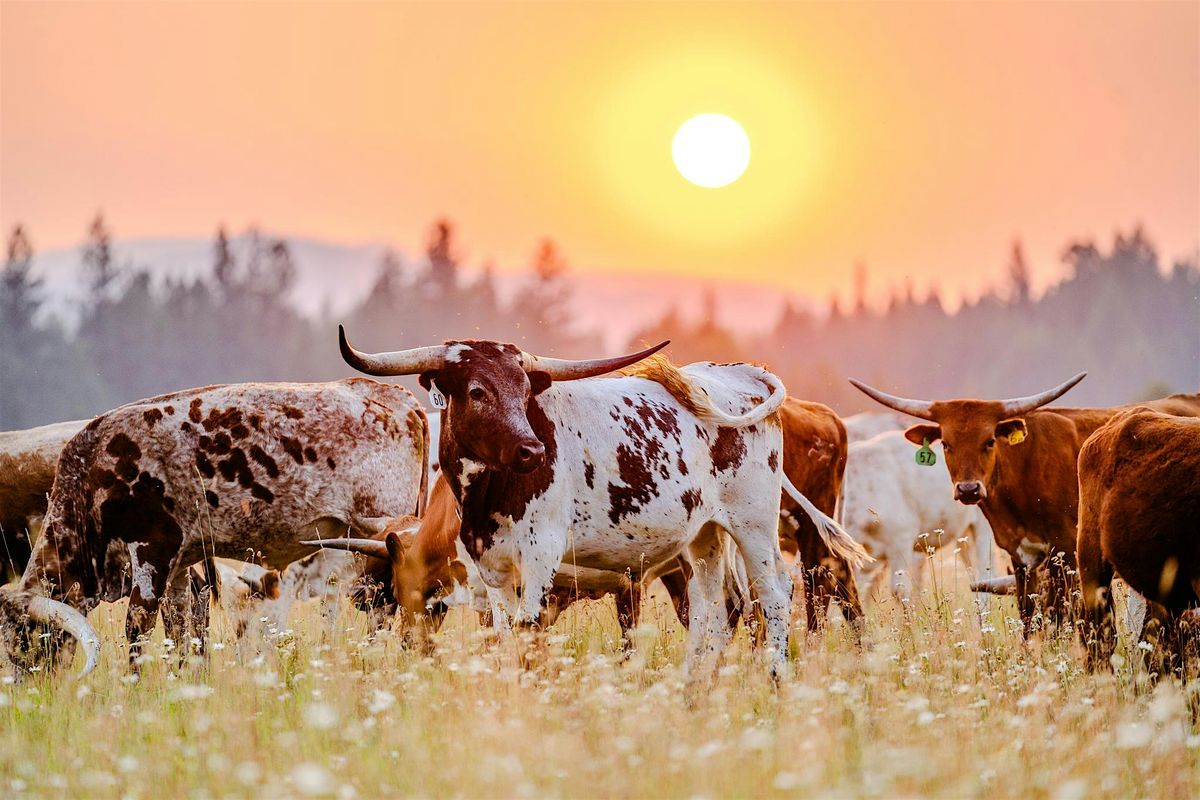 Branded & Barreled : A Rustic Western VIP Night, 13 June | Event in Whitefish | AllEvents