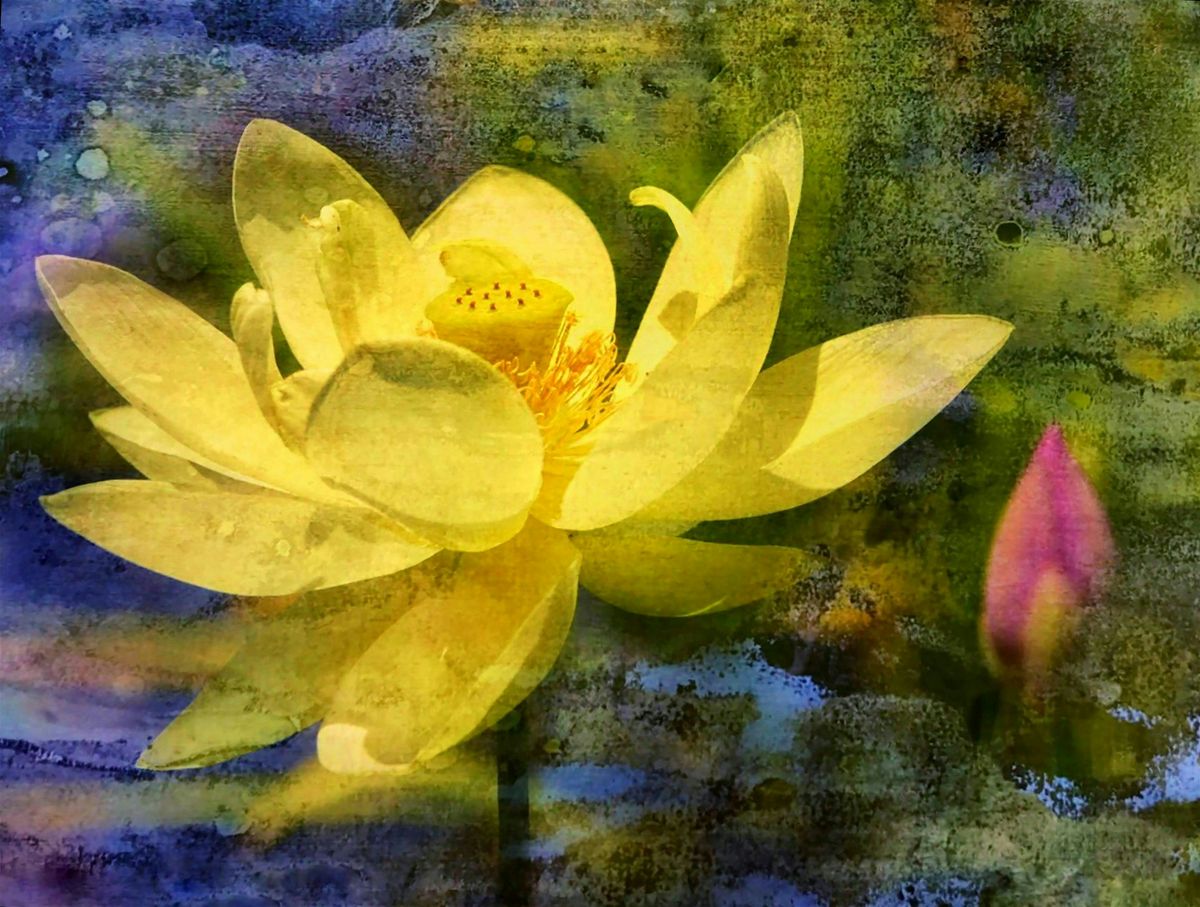 Dissolved Ink Art & Digital Collage Workshop with Artist Jacki Dickert, 28 June | Event in Metuchen | AllEvents