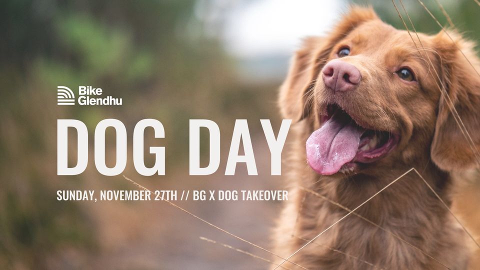 DOG DAY BIKE GLENDHU , Bike Glendhu, Mosgiel, November 27 2022