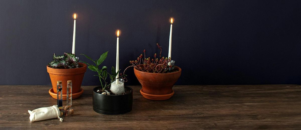 Make-n-Take: Horticultural Spell Jars at Mahoney's Tewksbury, 10 August | Event in Tewksbury | AllEvents