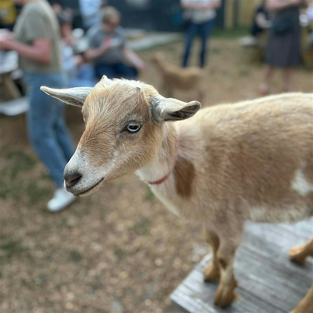 September Goat Social Hour, 8 September | Event in Alexandria | AllEvents